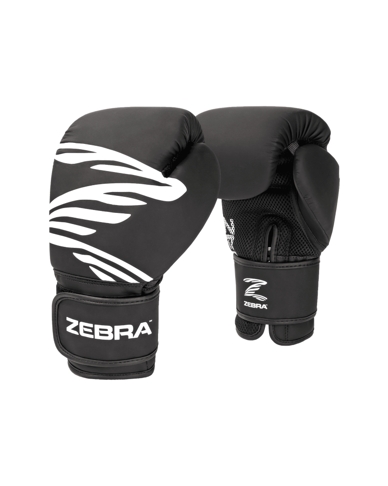 Gants boxe loisirs entraînement à fermeture par scratch